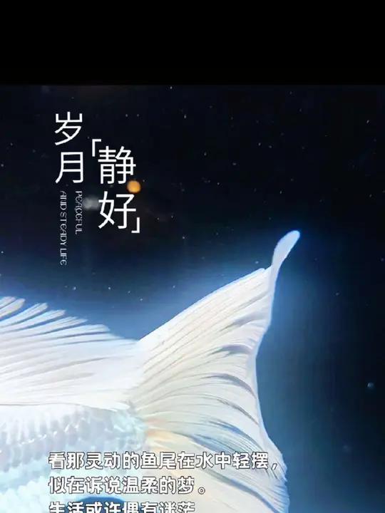 鱼跃龙门,浮游世界 “鱼跃龙门,一朝飞天! 浮游在这五彩斑斓的世界里,我也要努力跃出属于我