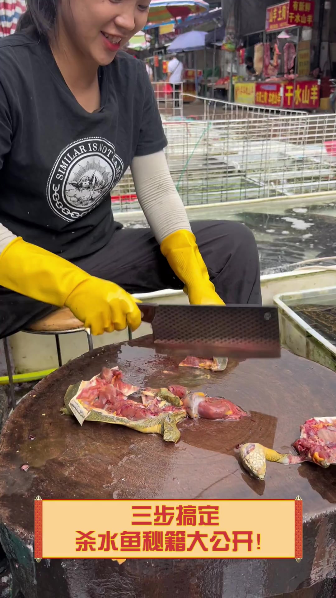 三步搞定,杀水鱼秘籍大公开!