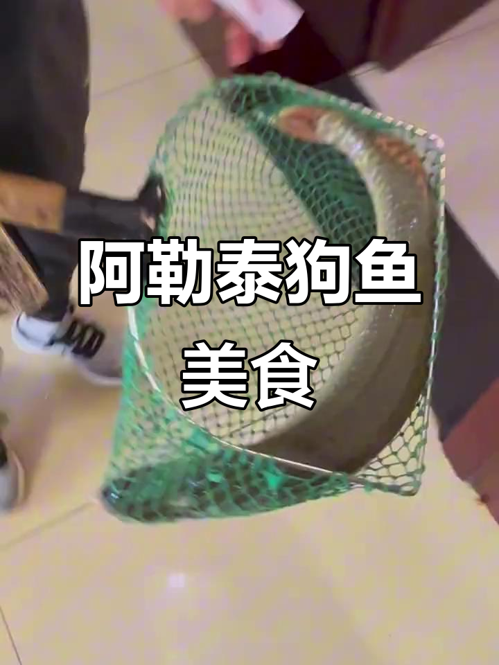 阿勒泰冷水鱼小店:20年老店的独特美味