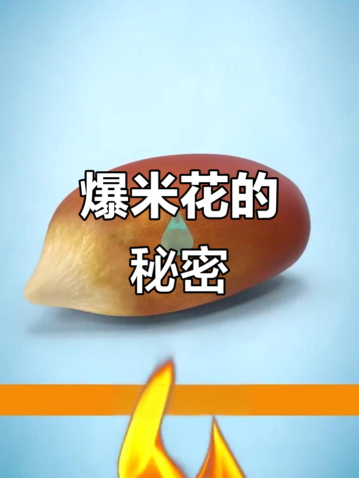 为什么爆米花一加热就爆炸?揭秘背后的原理