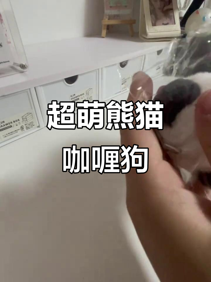 熊猫咖喱狗宝宝萌翻了,开箱超可爱
