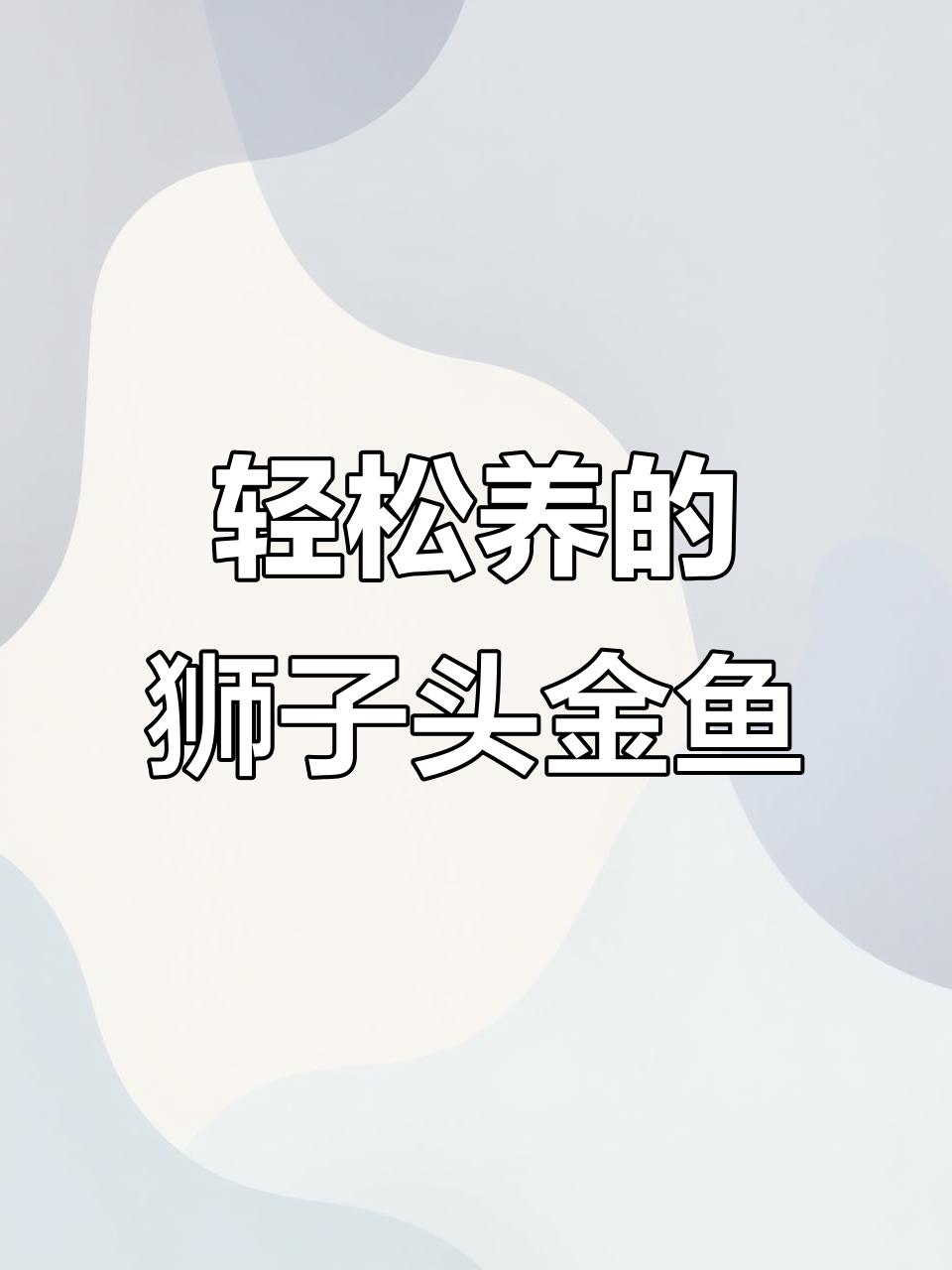 红狮子头金鱼：易养、不挑水质，性情温和的冷水观赏鱼