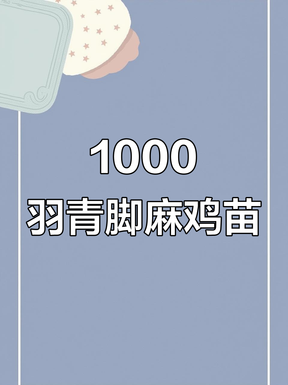 1000羽青脚麻鸡苗,疫苗齐全,隆林客户放心选择