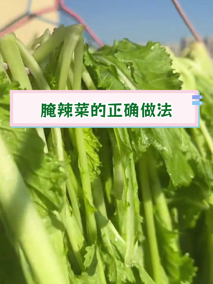 腊菜腌制全过程,翠绿不变质