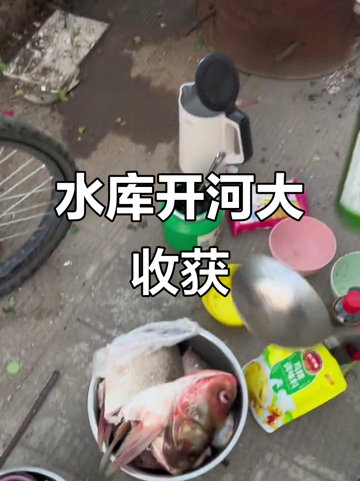 密云水库首捕,十五斤胖头鱼新鲜到手!