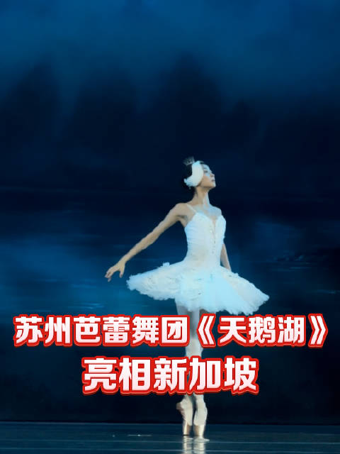 「苏州芭蕾舞团天鹅湖亮相新加坡」4月10日,新加坡滨海艺术中心大剧院,相约狮城遇见苏州 苏