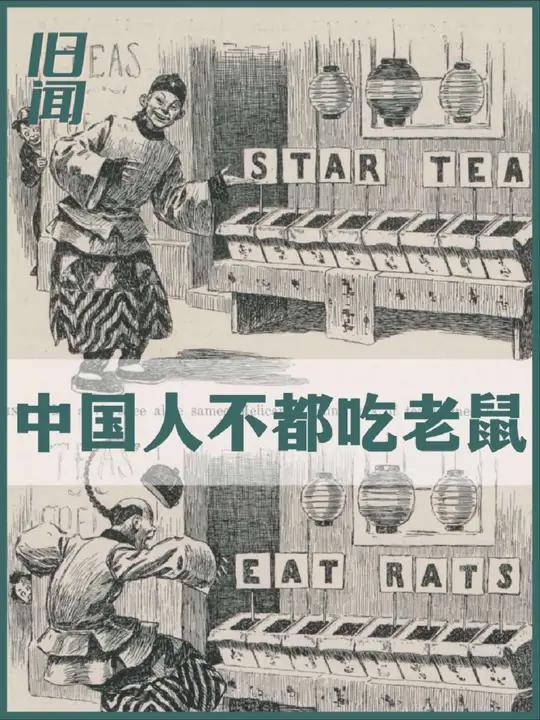 中国人不都吃老鼠