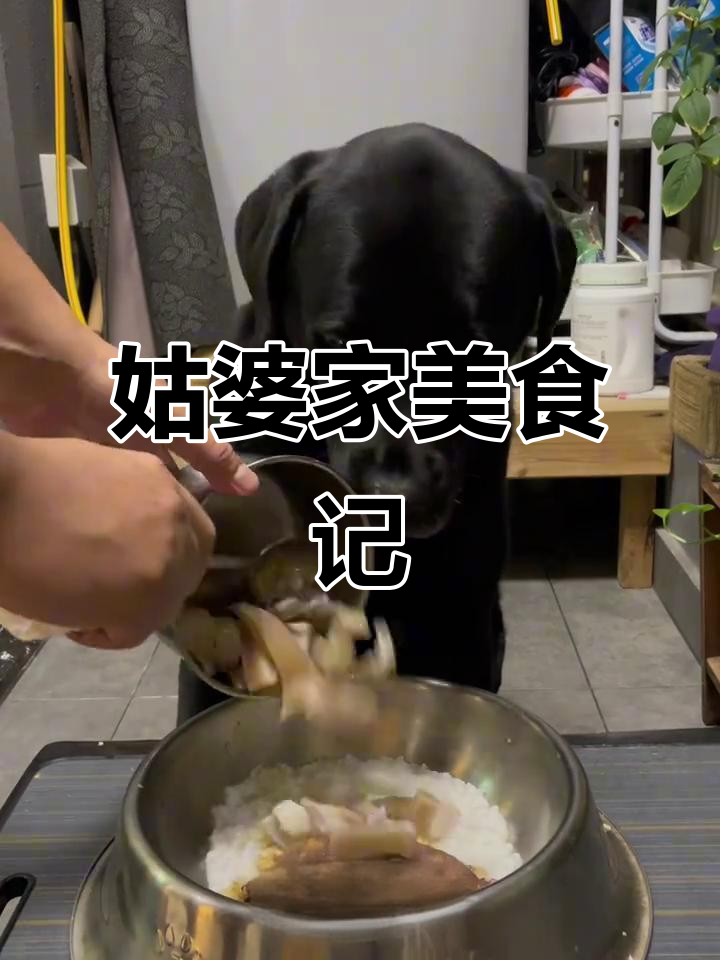 荠菜汤与海鲜饺,姑婆家的美味组合!