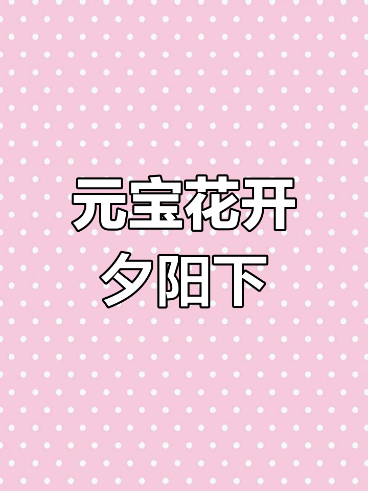 元宝多肉开花,黄昏下的惊喜发现