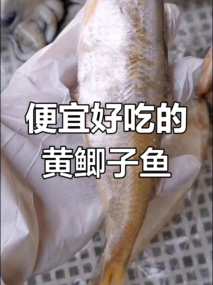 黄鲫子鱼:本地吃货最爱的亲民小海鲜,鲜美又实惠