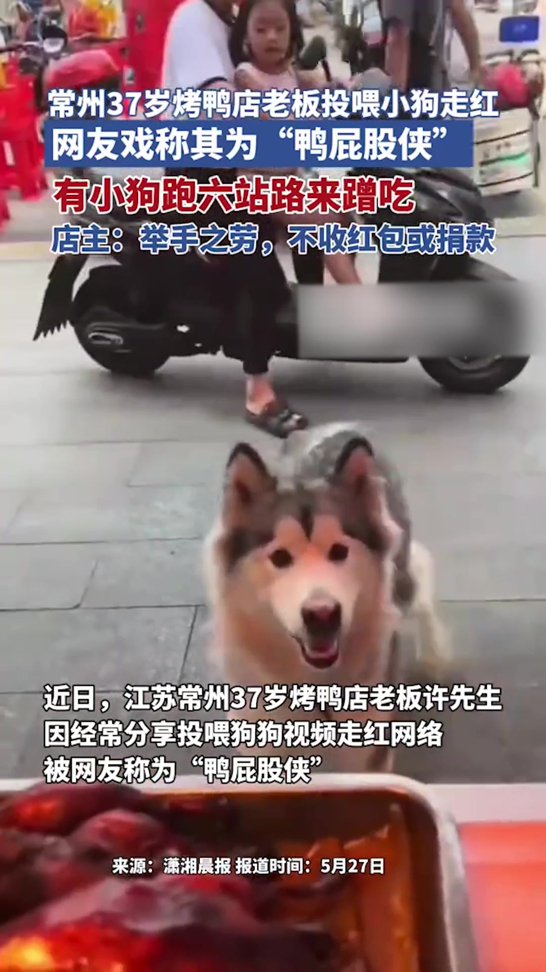常州一烤鸭店老板因经常投喂狗狗获称“鸭屁股侠”！当事人：举手之劳，不收红包或捐款