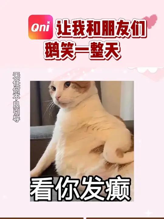 我和朋友们鹅笑了一整天 qni Qni 今天先不教英语,休息一下