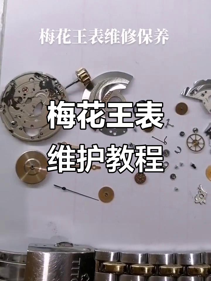 梅花王表维修与保养技巧,轻松恢复手表光彩
