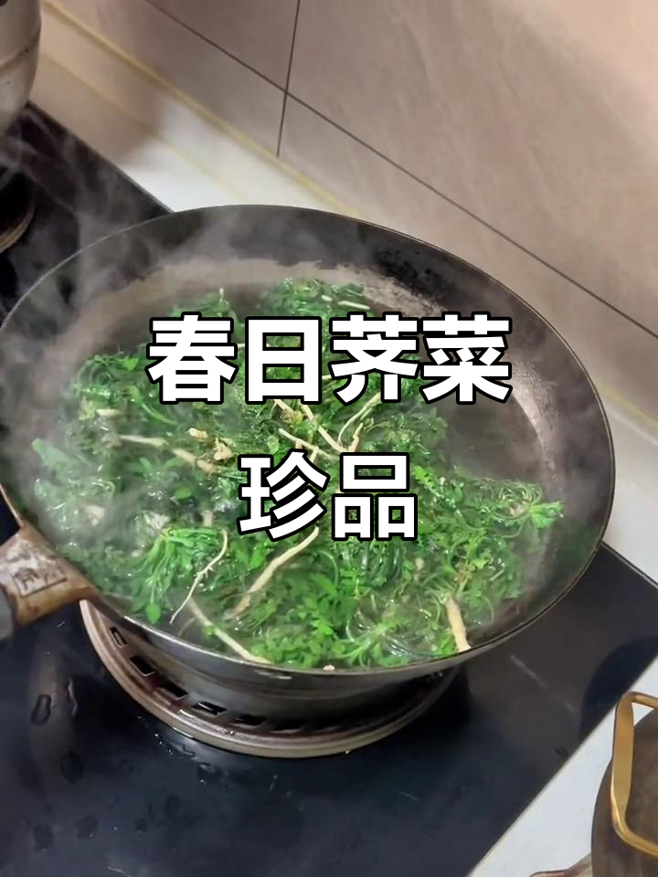 春天荠菜汤,三小时风中挖回的珍贵美味