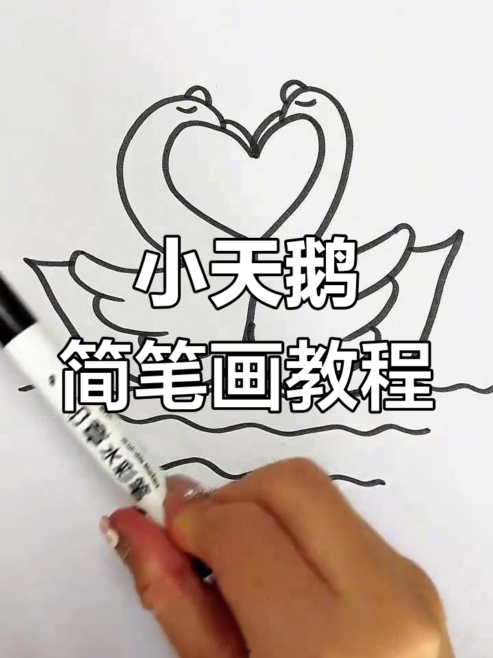 简单步骤教你画小天鹅,亲子互动超有趣