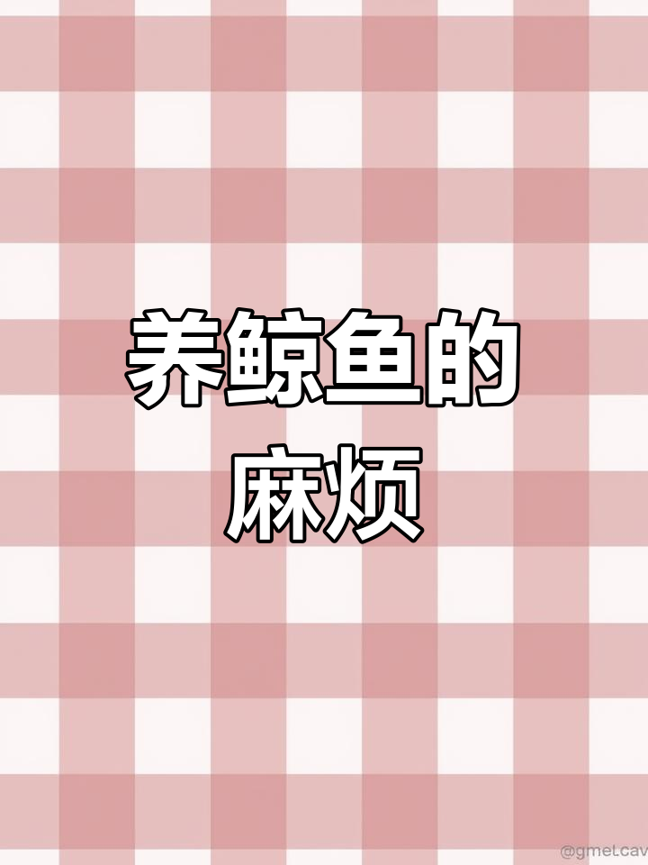 鲸鱼养殖的挑战与乐趣,噪音大又爱跳缸