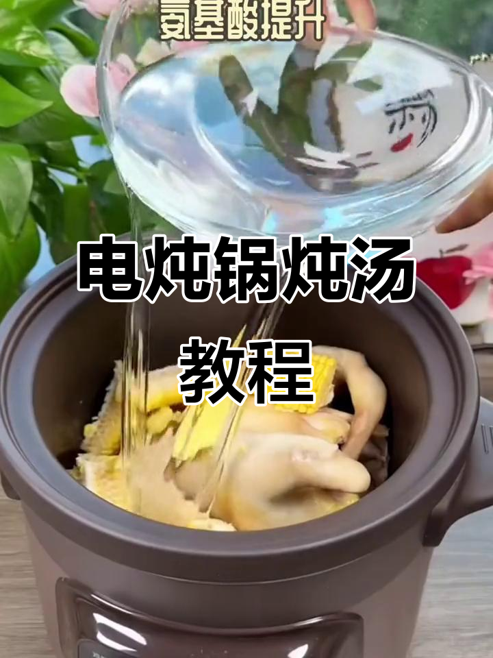 九阳电炖锅煲汤技巧,轻松做出美味营养汤