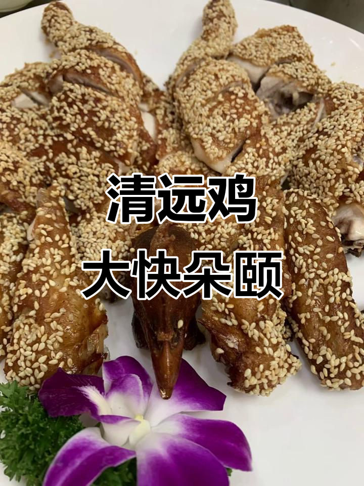 美食与朋友聚会,清远鸡、海鲜猪肚一网打尽