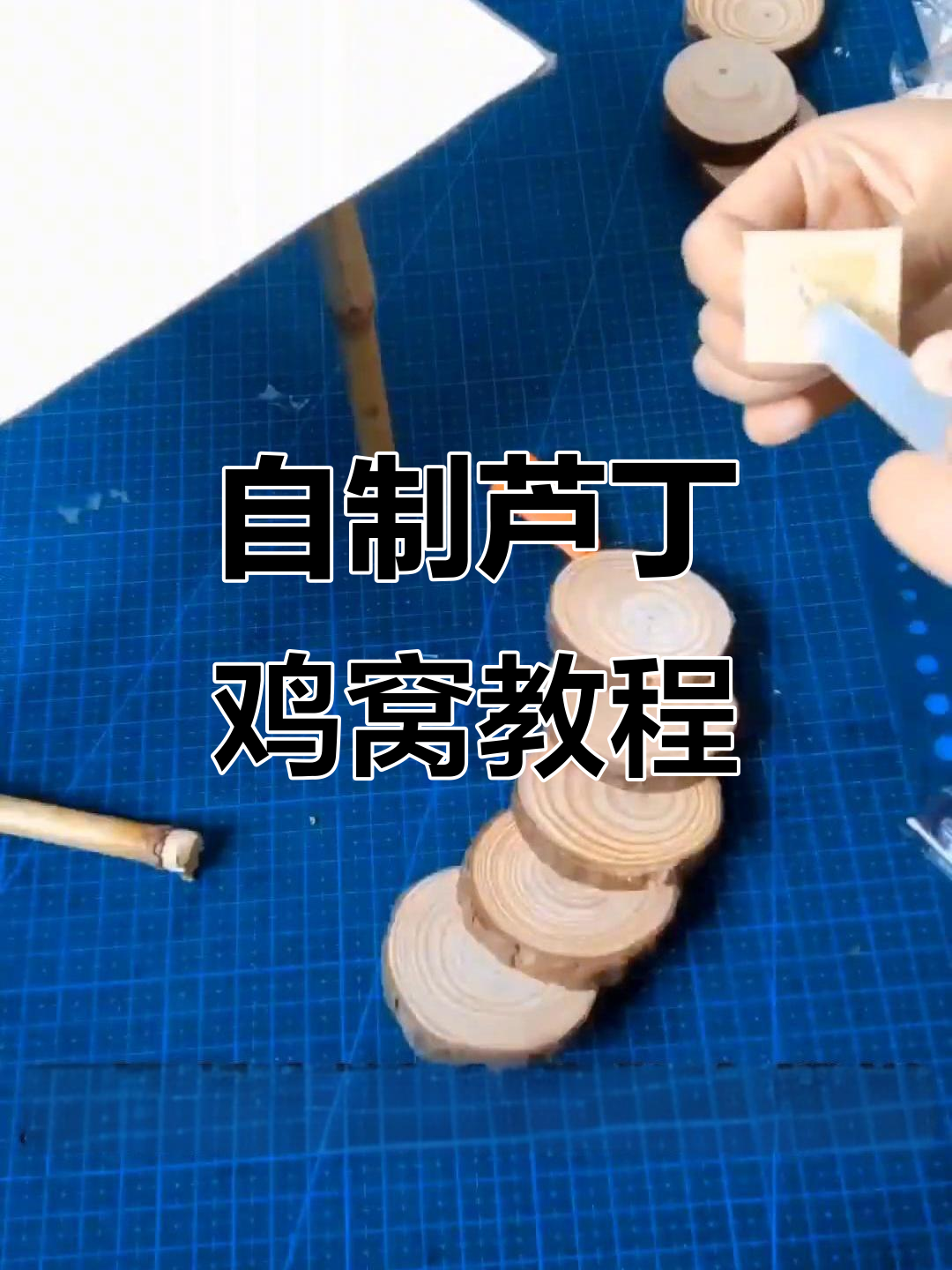 利用废旧材料DIY芦丁鸡窝,简单又有趣