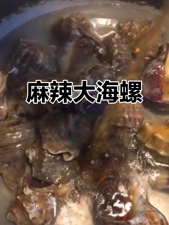 麻辣海螺做法,简单又美味