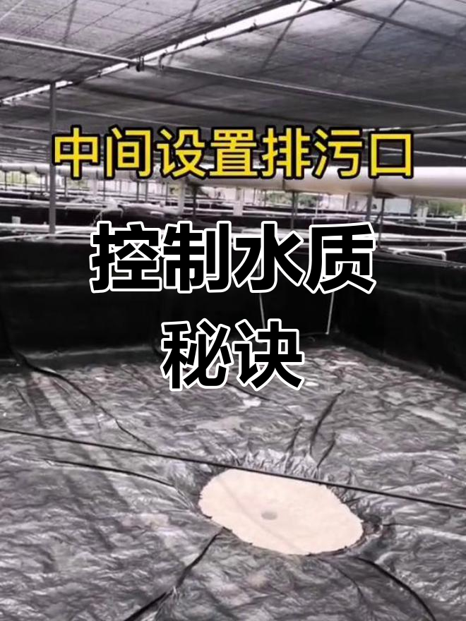 淡水工厂化养虾的水质控制技术