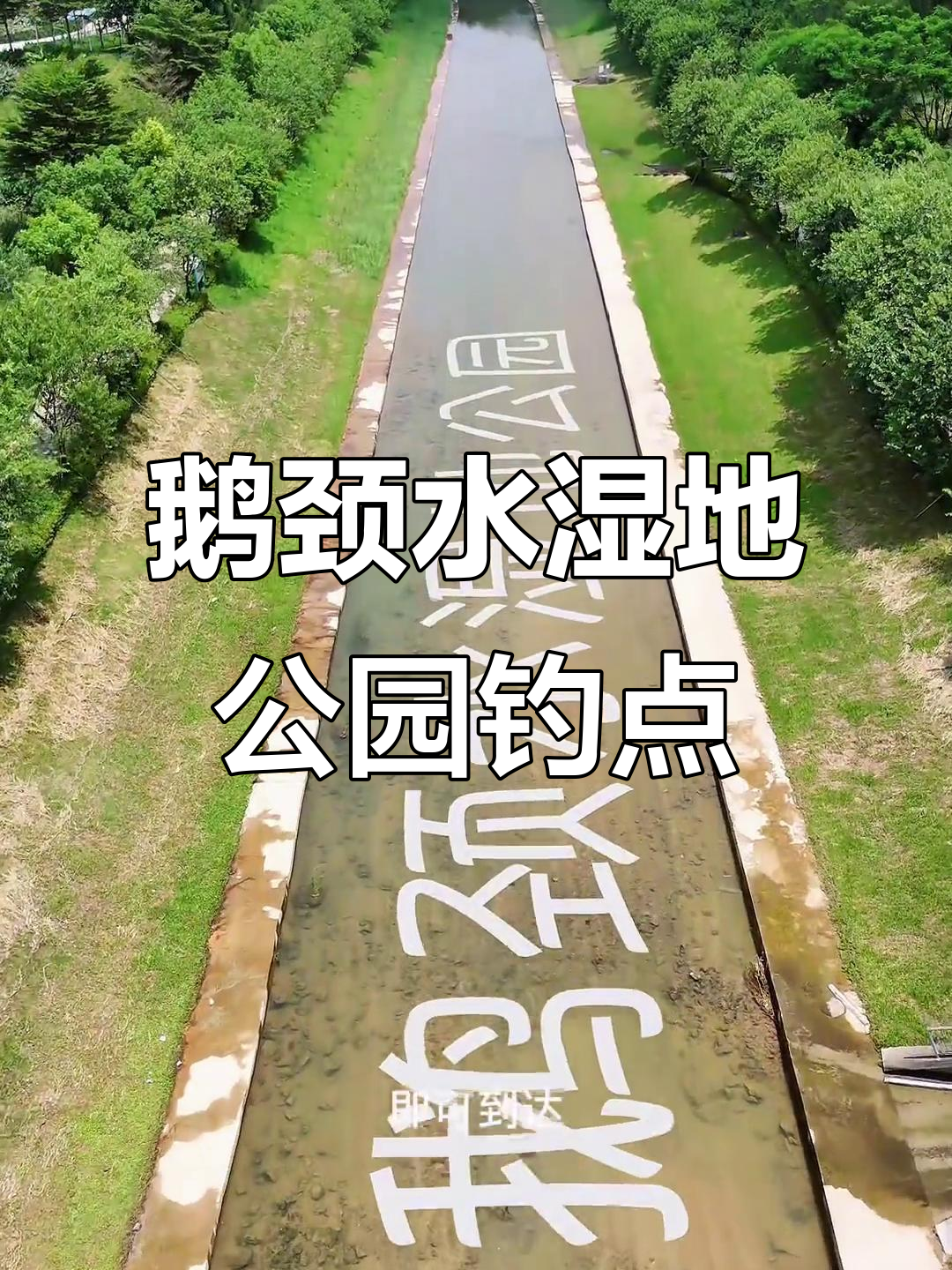 鹅颈水湿地公园钓点VR全景漫游，亲子休闲钓鱼好去处