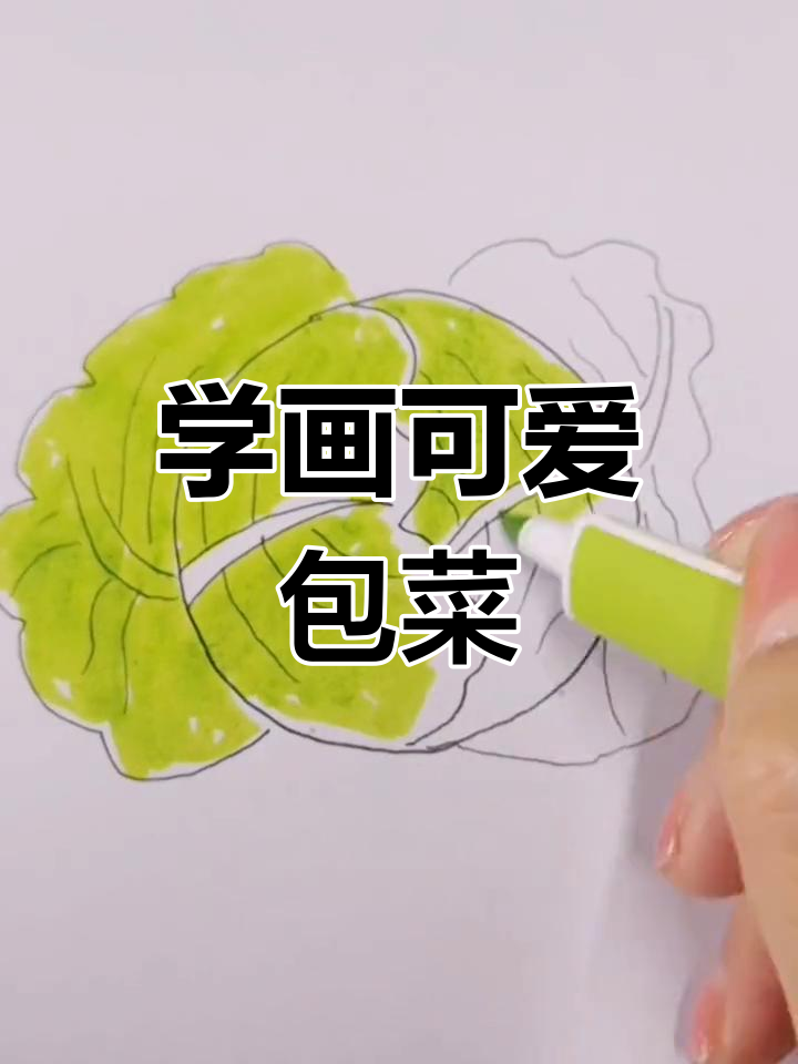 零基础学画包菜,简单步骤教你轻松上手