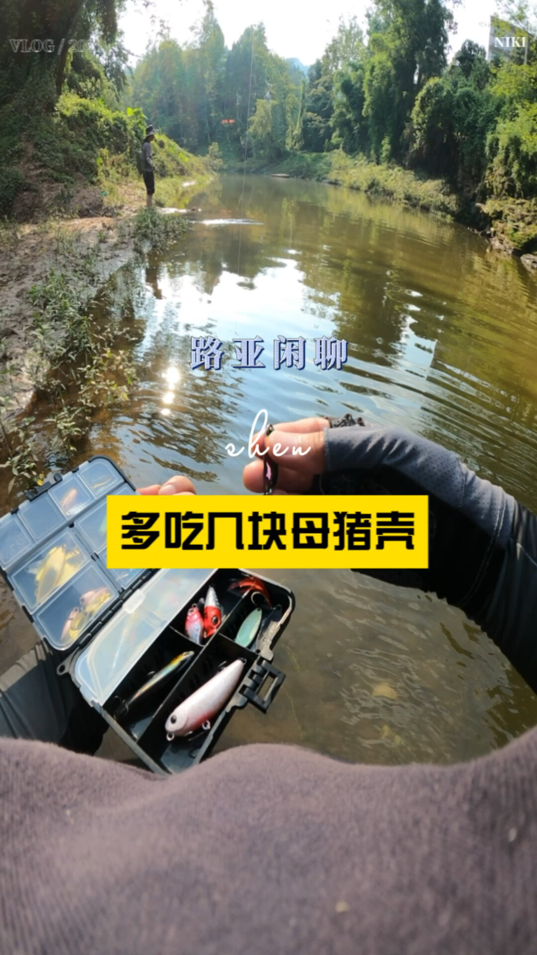 钓一夏鱼|走带你钓母猪壳