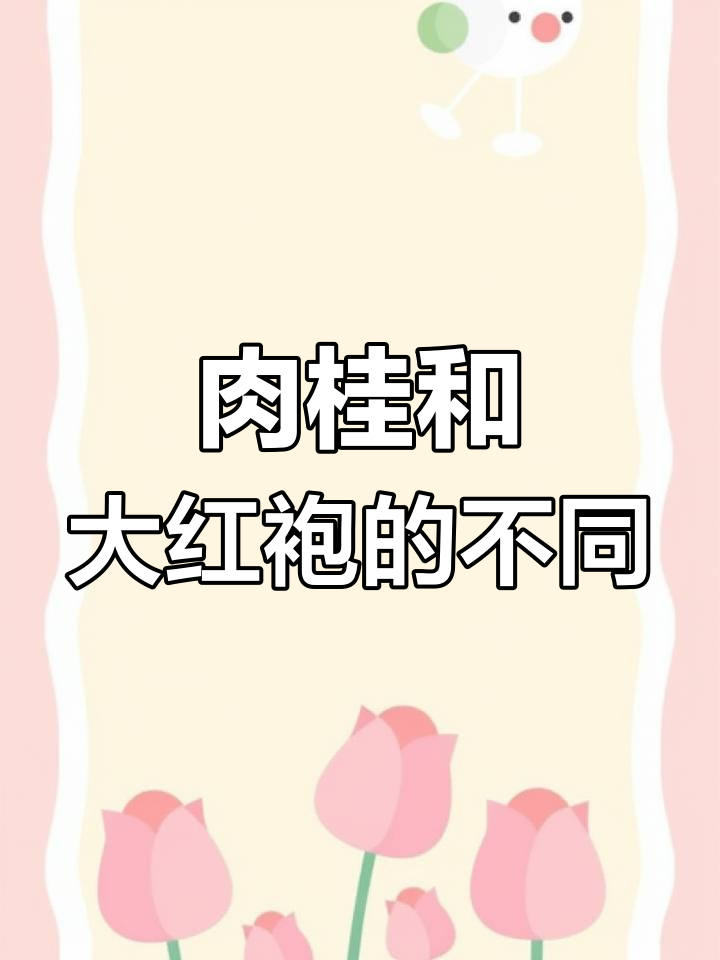 肉桂茶与大红袍的区别解析