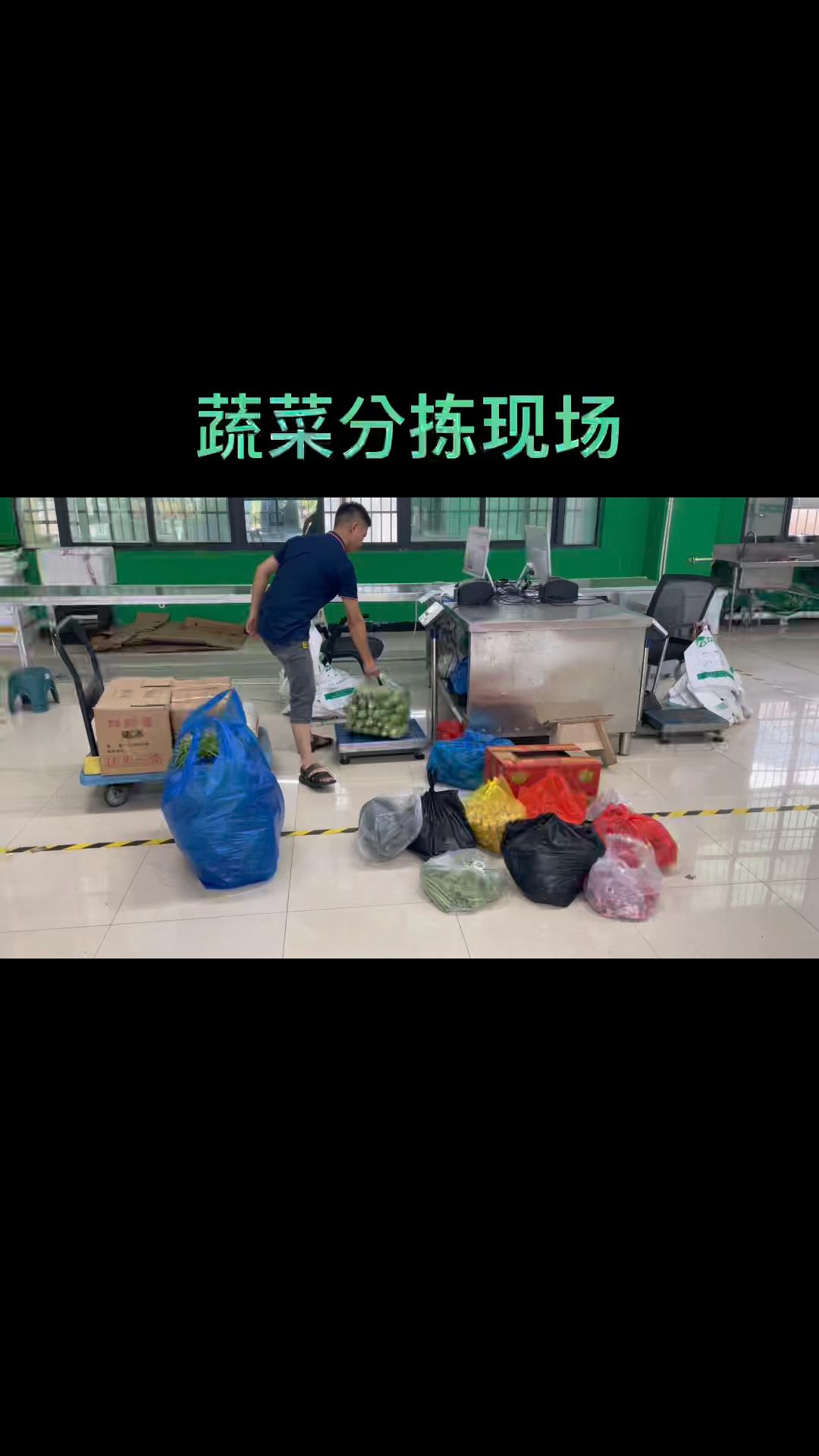 蔬菜分拣,轻松搞定