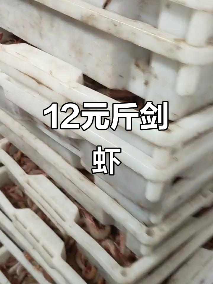 12元一斤的剑虾，生活不会辜负每一个努力的人