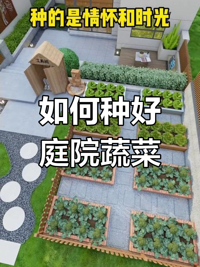 庭院菜地如何规划,打造美观又实用的空间