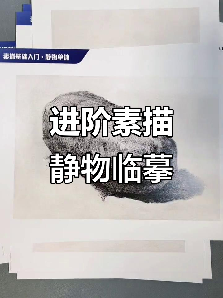 素描静物进阶临摹,三套必备素材助力提升技艺