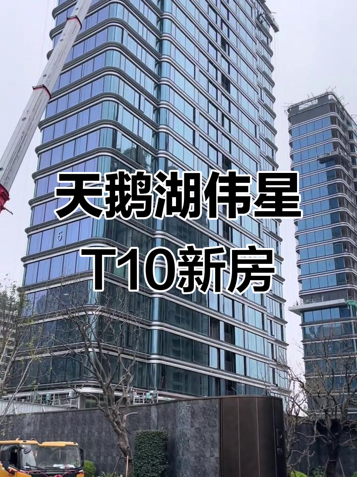 合肥政务区天鹅湖畔,伟星T10豪宅新品震撼来袭