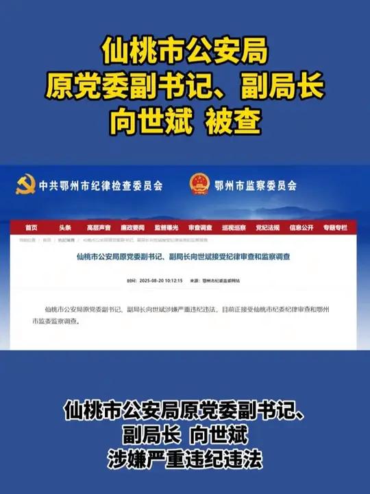 仙桃市公安局原党委副书记、副局长向世斌被查。