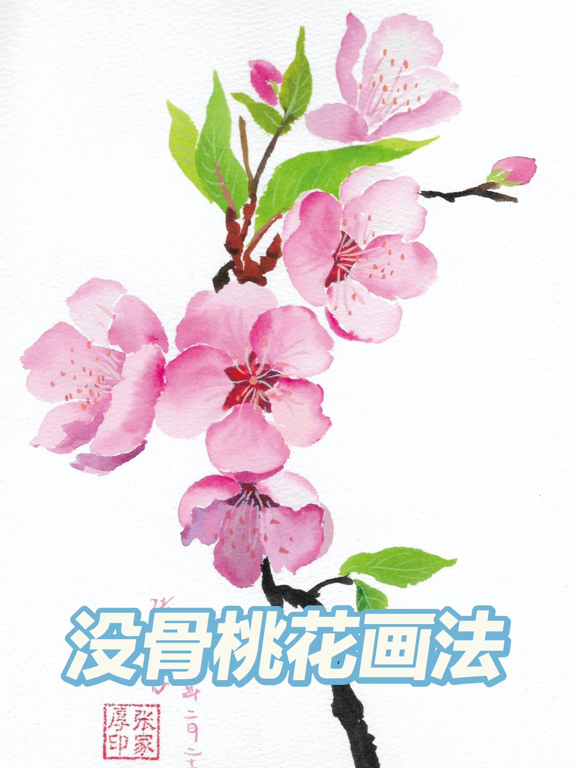 水彩没骨桃花详细步骤