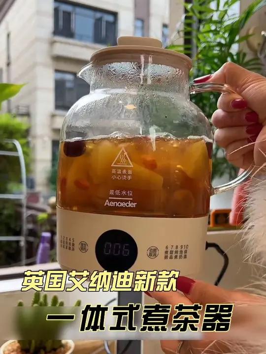国艾纳迪新款多功能养生壶一体式煮茶器泡花茶高硼硅玻璃烧水壶