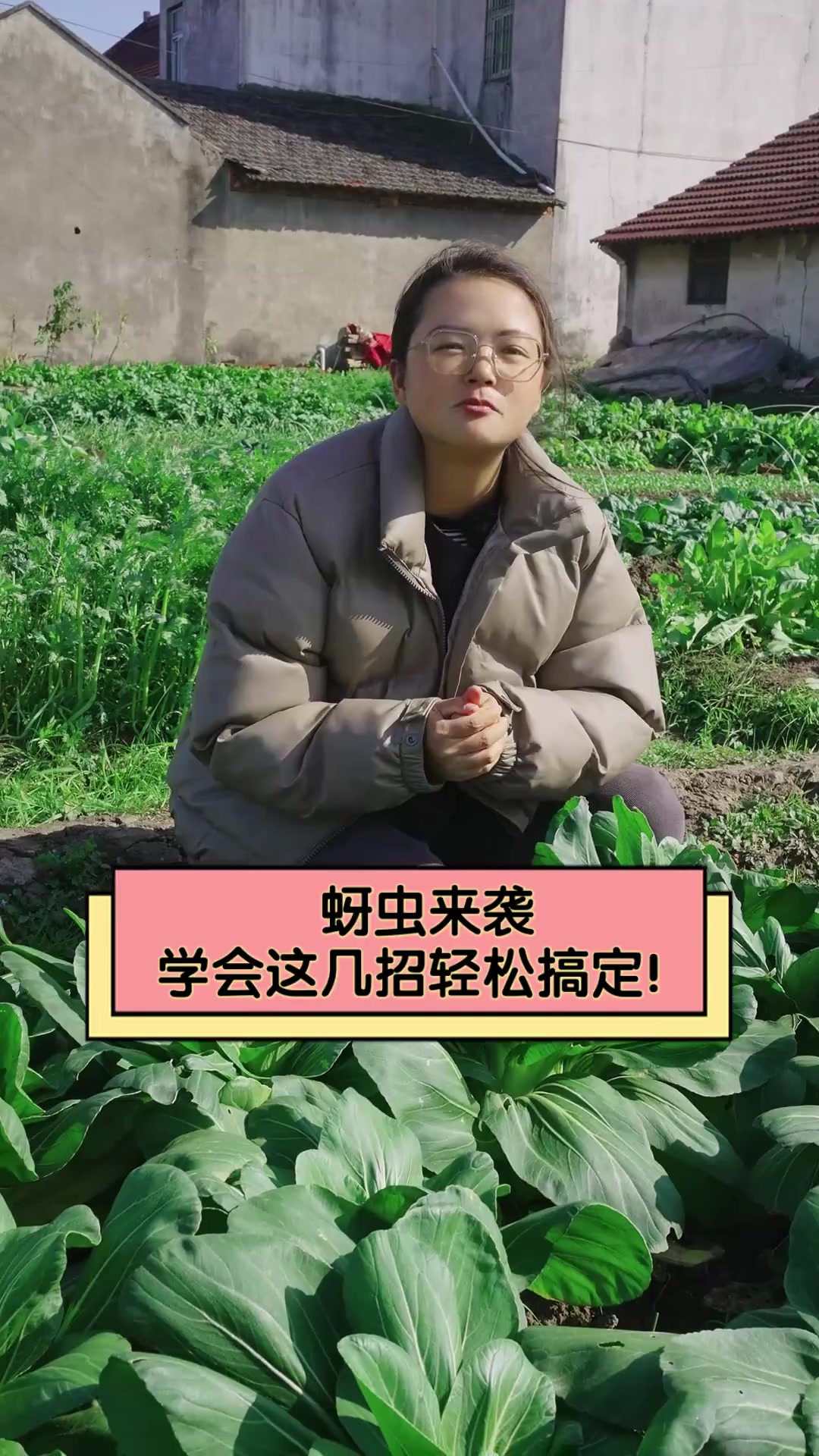蚜虫来袭,学会这几招轻松搞定!