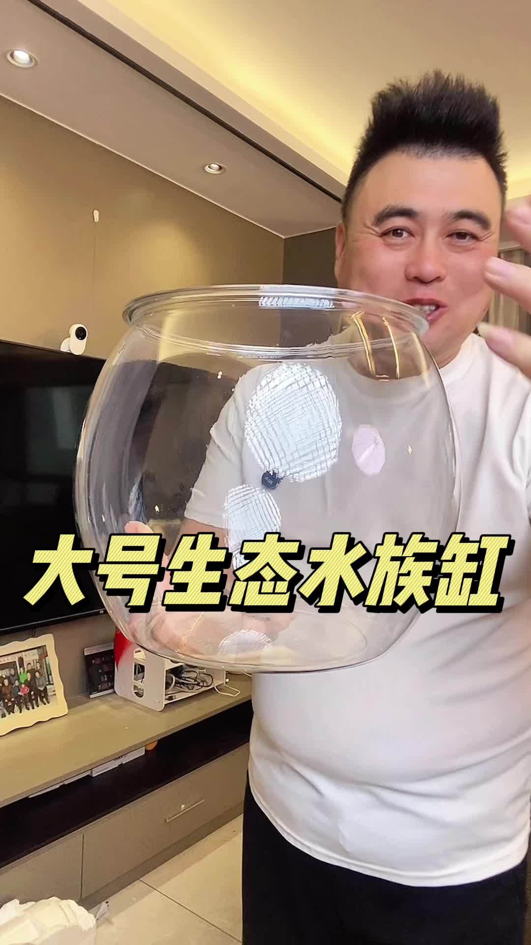 生态水族缸 鱼缸 桌面鱼缸推荐 客厅鱼缸摆放效果 防摔 轻松养鱼