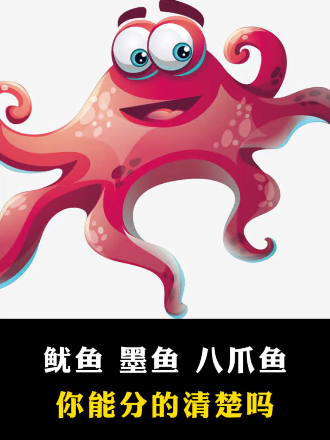 鱿鱼 八爪鱼 墨鱼,你能分的清楚吗?