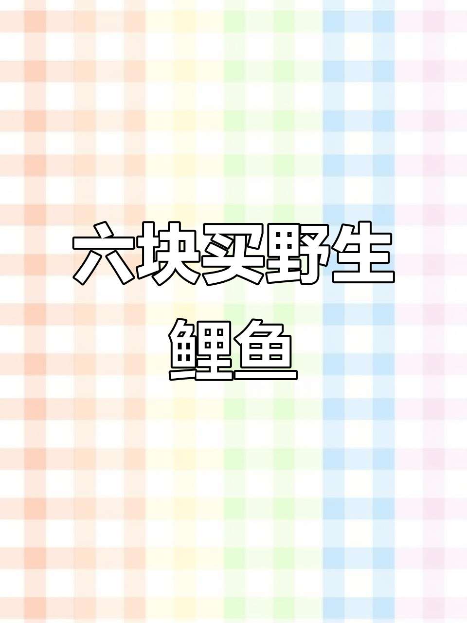 野生大鲤鱼,六元一斤超值价!