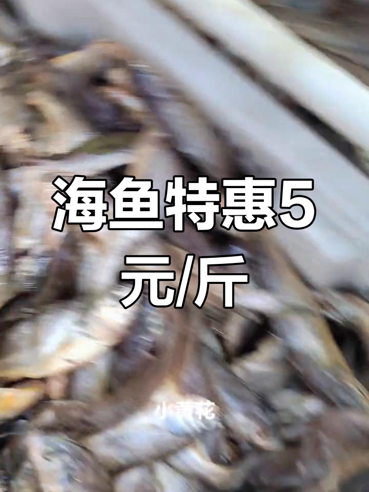 新鲜海鱼大集合,5元一斤任挑