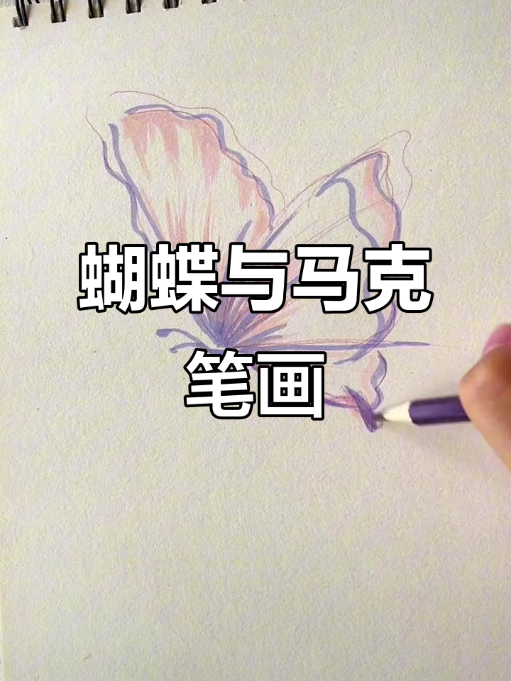 蝴蝶飞舞,马克笔临摹治愈系画作