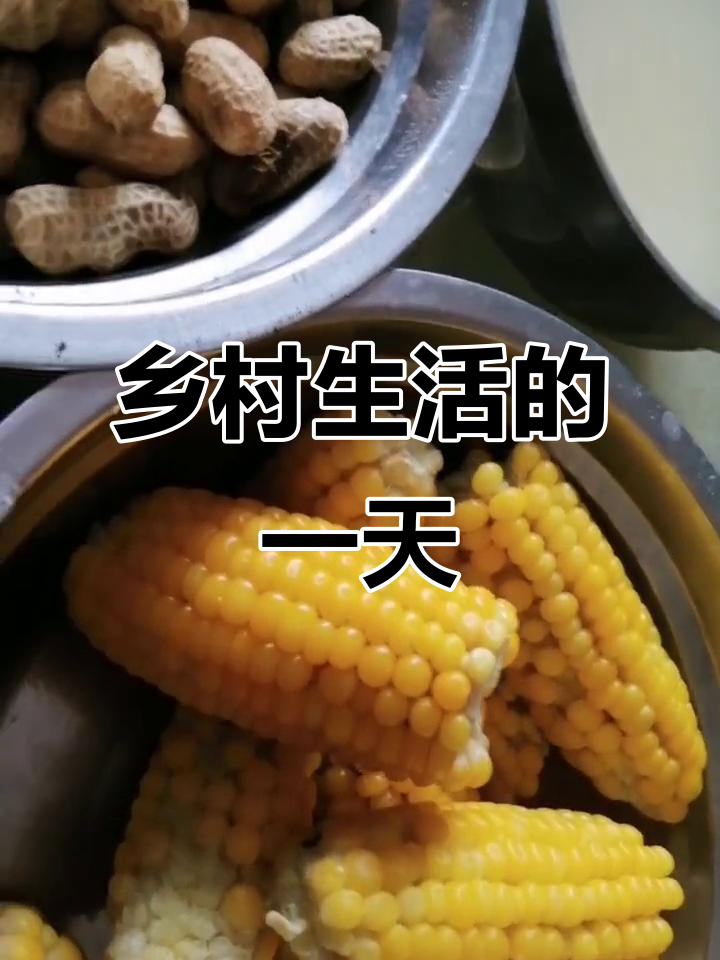 农村生活的真实写照:玉米、花生与大米粥的日常