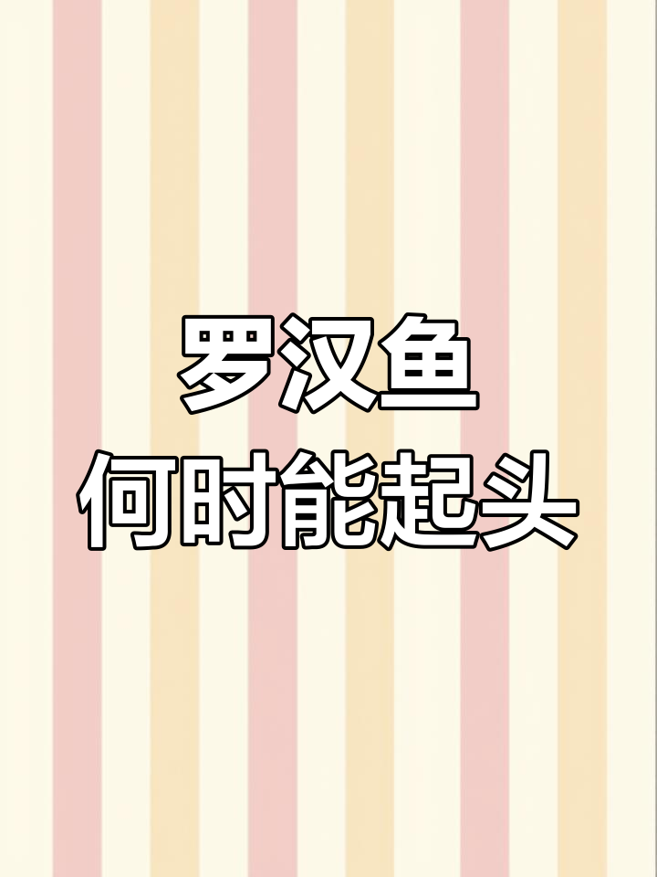 罗汉鱼起头时间真相揭秘,不是所有都早