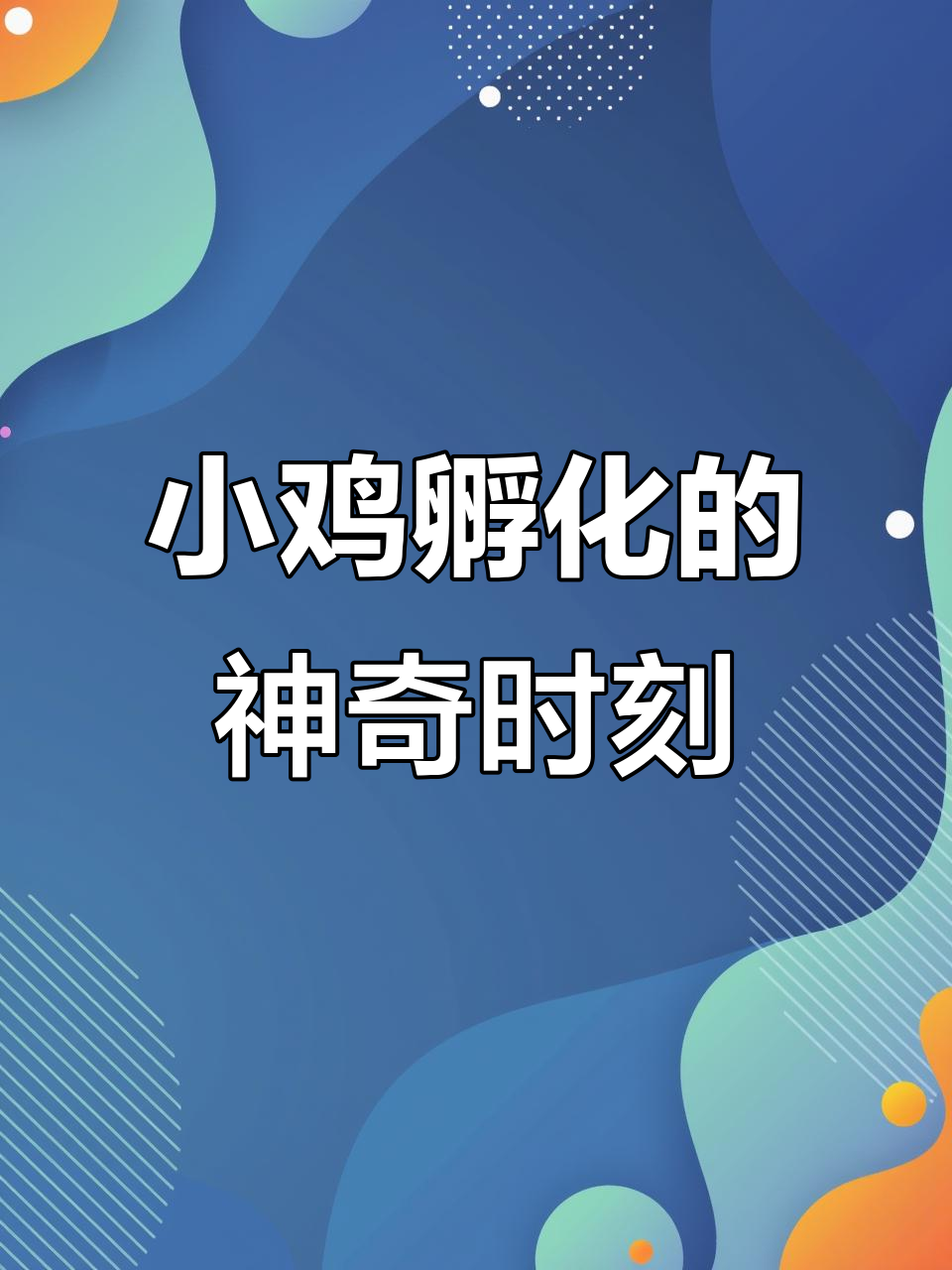鸭蛋壳孵化小鸡,18天破壳全过程大揭秘