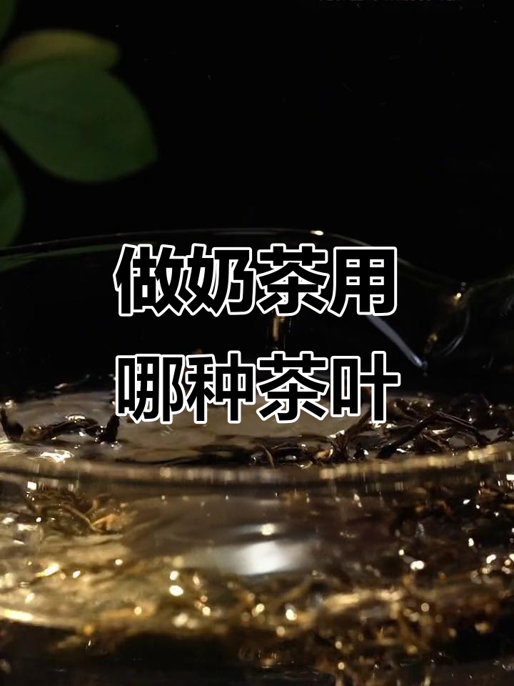 各种茶做奶茶的秘密,红茶绿茶都能变美味