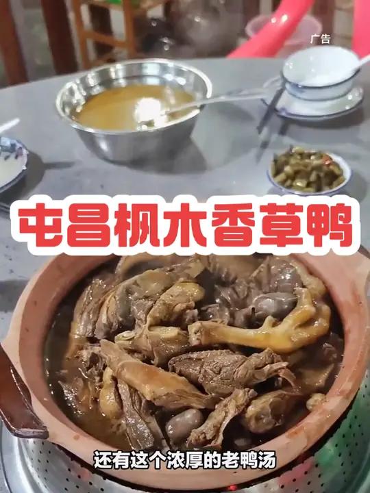 屯昌枫木香草鸭