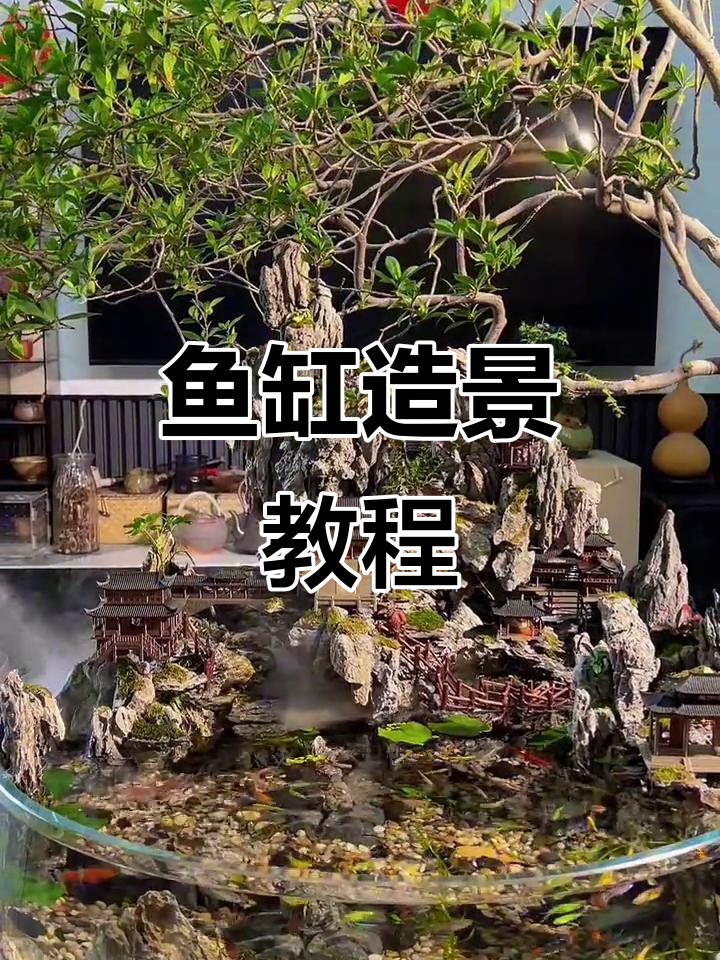 鱼缸造景全攻略，打造自然生态景观