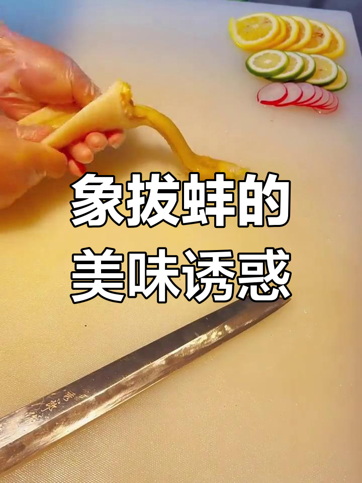 象拔蚌,独特美味,吃一次就停不下来!